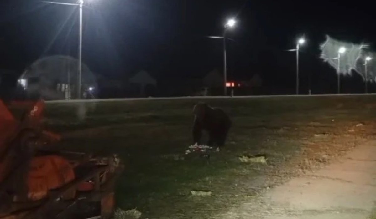 Фото: Стопкадр видео жителей 