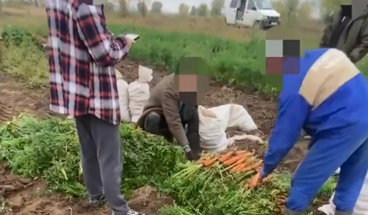 Фото: Стопкадр видео МВД по Хакасии