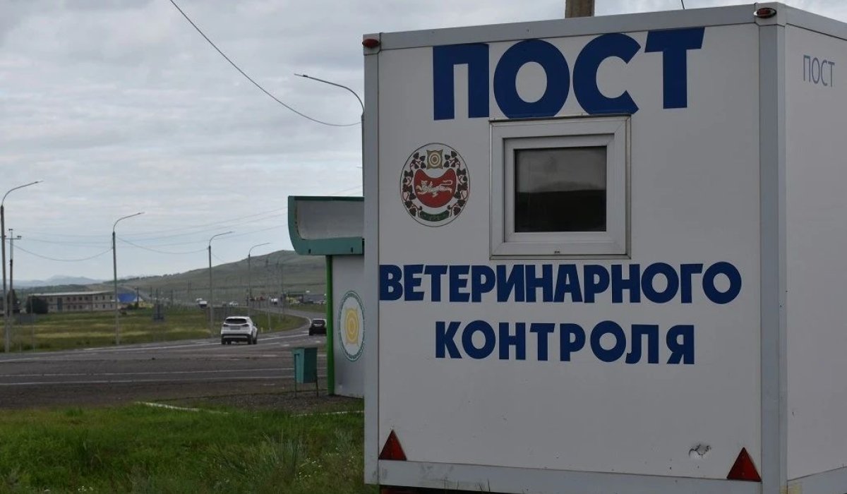 Фото: управление ветеринарии Хакасии