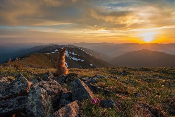 Фото: Александр Макеев