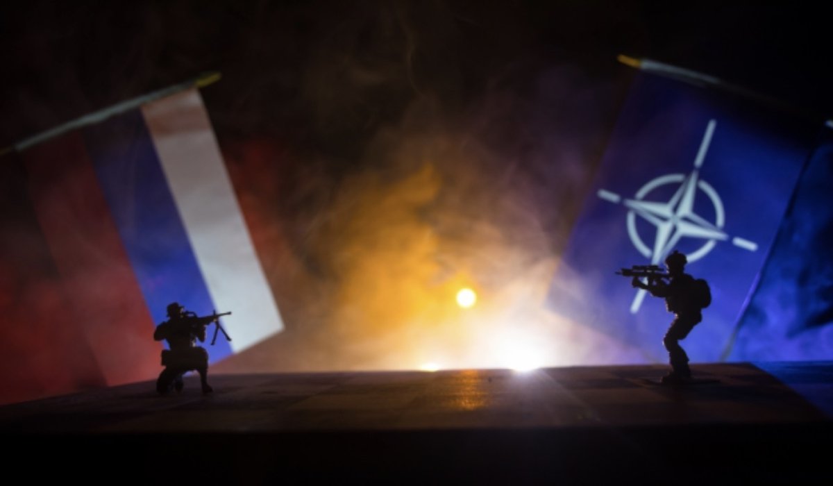 КОЛЛАЖ: ZEF_ART/SHUTTERSTOCK