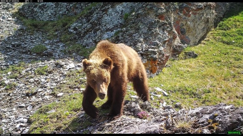 Фото: заповедник Хакасский