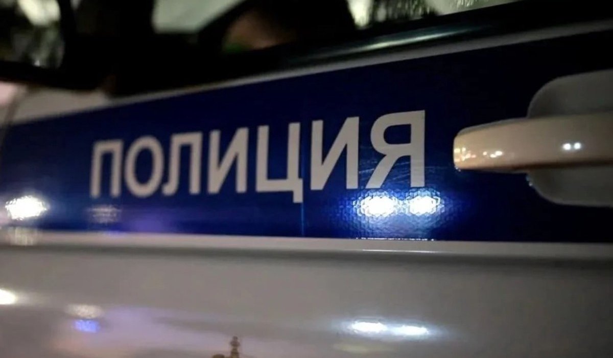 Фото: © VK / МВД по республике Тыва