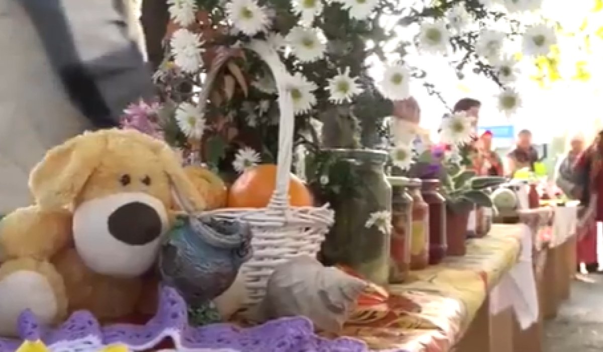 Фото: Стопкадр видео Администрации Черногорска