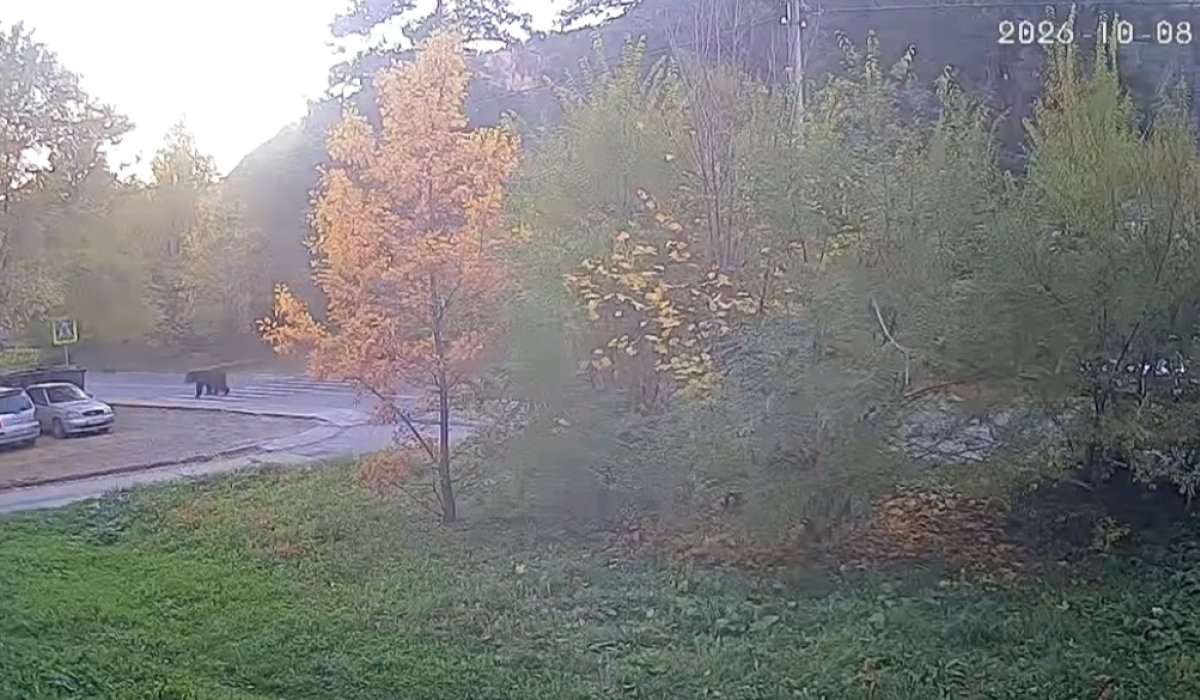Фото: Стопкадр видео Саяногосрк Главный 