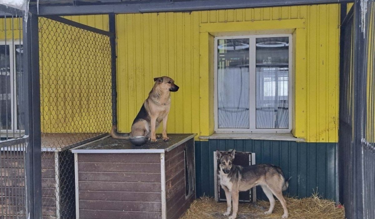 Фото: ФедералПресс / Вера Романескул