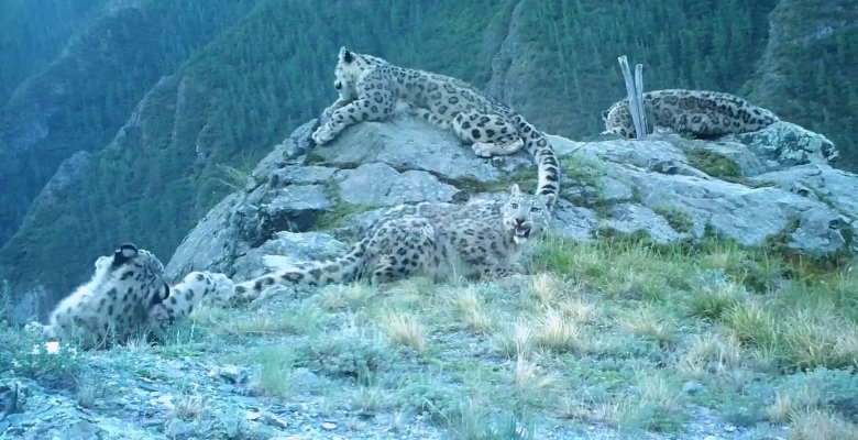 Фото: Саяно-Шушенский заповедник