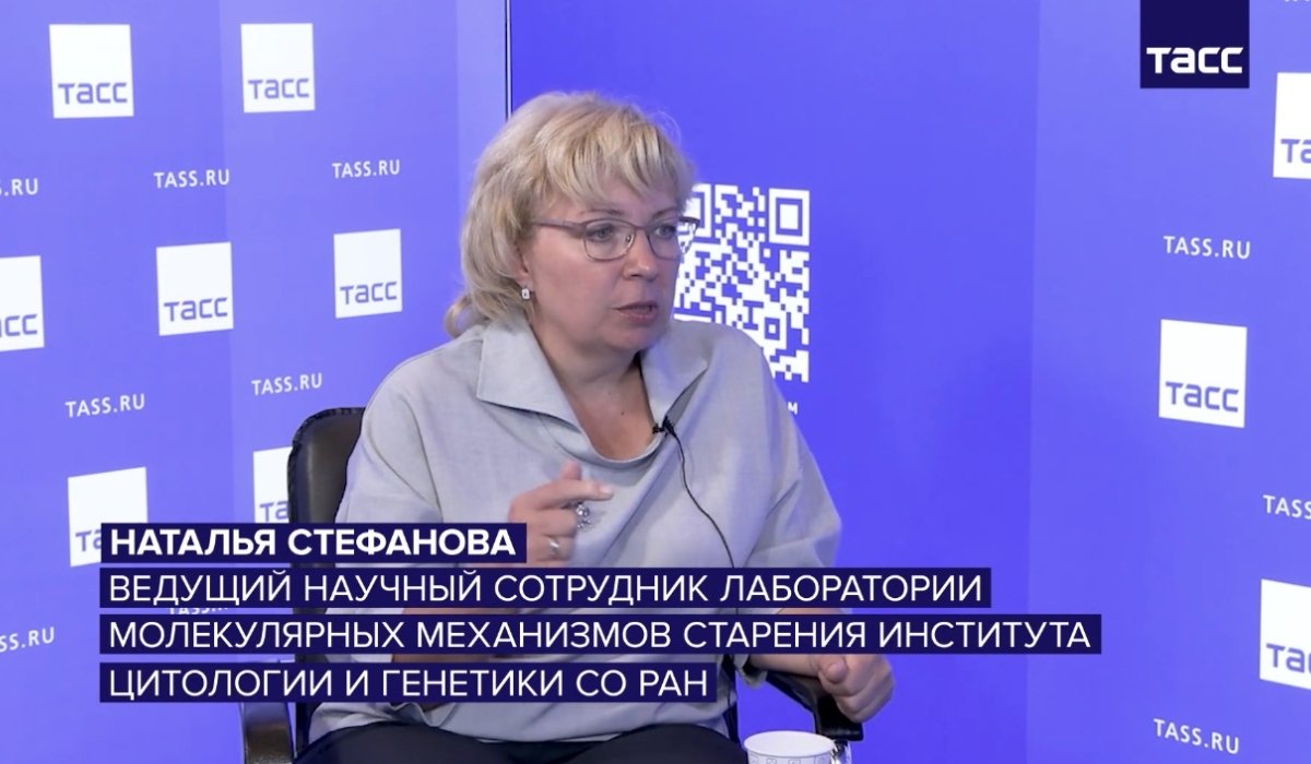 Фото: стоп-кадр видео ТАСС 