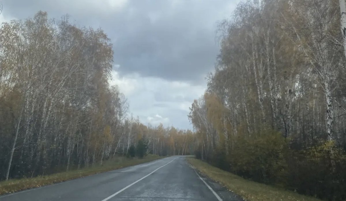 Фото: АДИ19