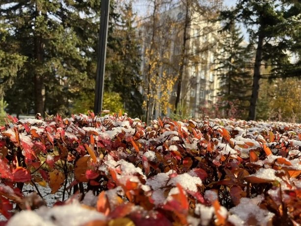 Фото: Сергей Сокол / Макс