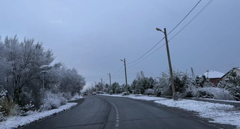 Фото: АДИ19