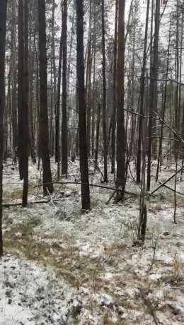 Фото: СУ СК России по Красноярскому краю и Хакасии
