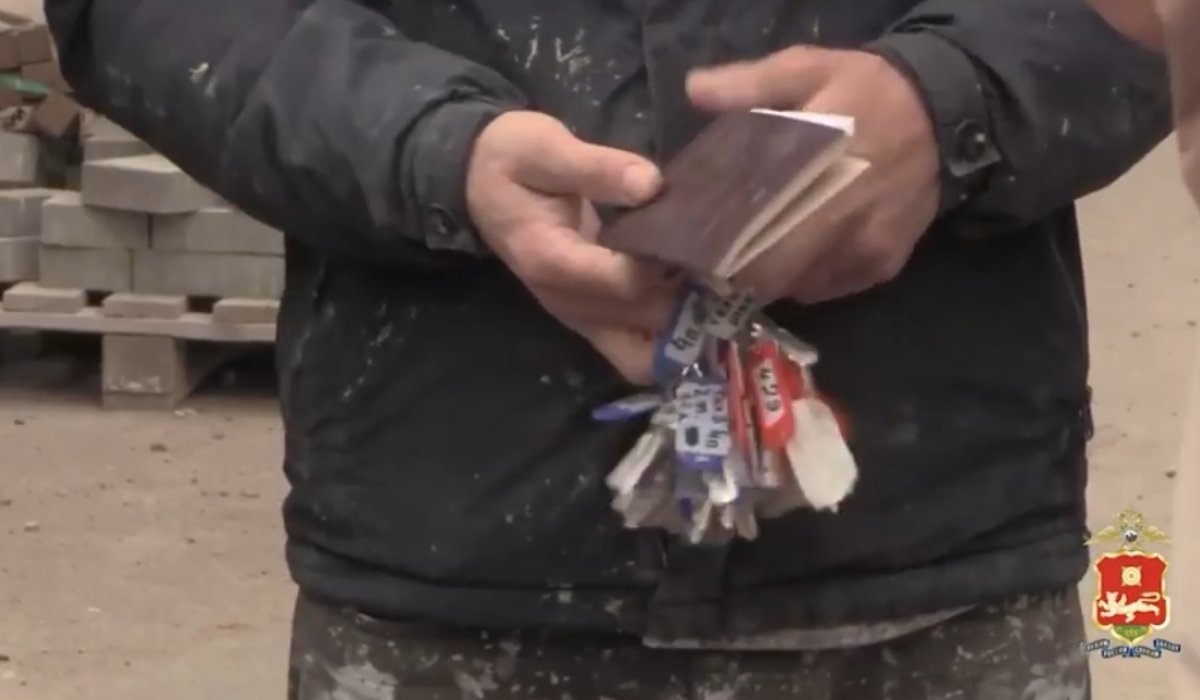 Фото: Стопкадр видео МВД по Хакасии 