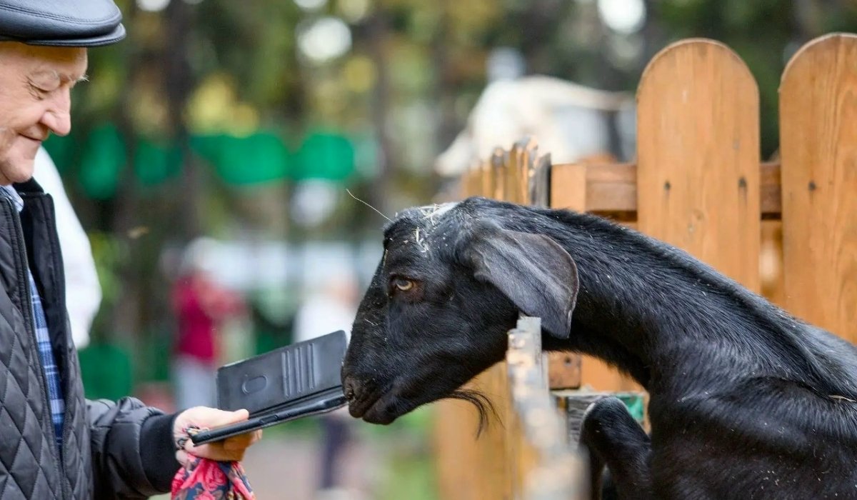 Фото: ГБУ РХ "Центр живой природы"