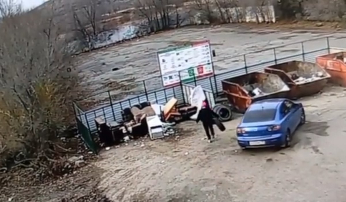 Фото: стоп-кадр видео Минприроды Хакасии