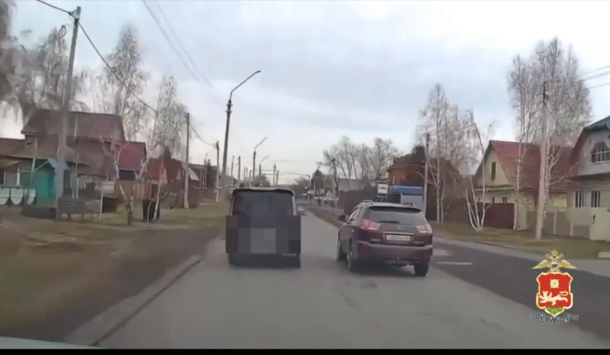 Фото: стоп-кадр видео МВД Хакасии