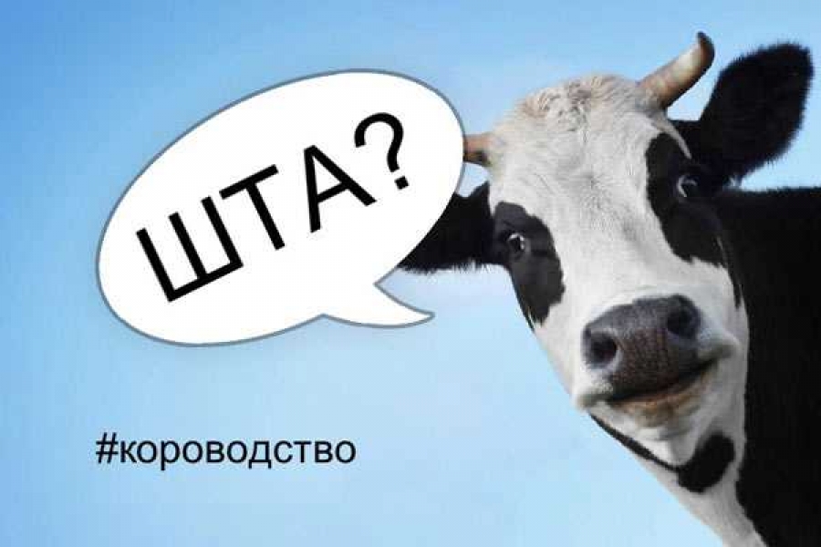 Картинка: Хакасия-Информ