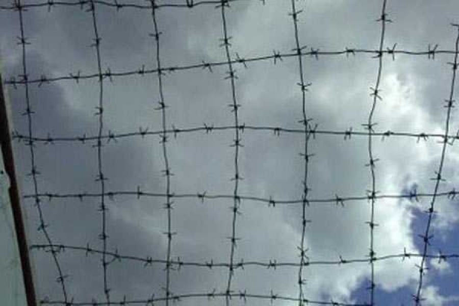  Фото: tverweek.com