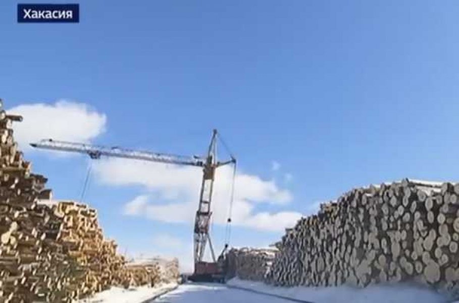 Фото: скриншот vesti.ru 