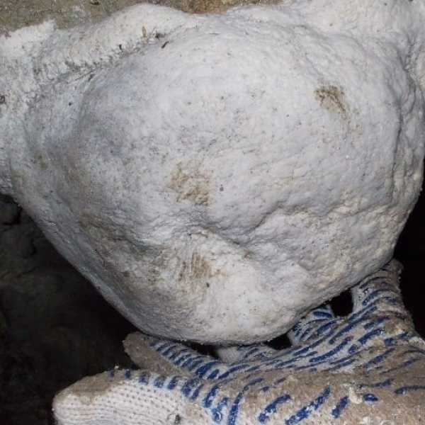 Фото: facebook.com/Deputat124