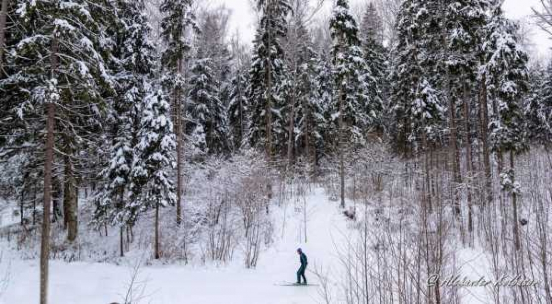 Фото: Александр Колбасов 