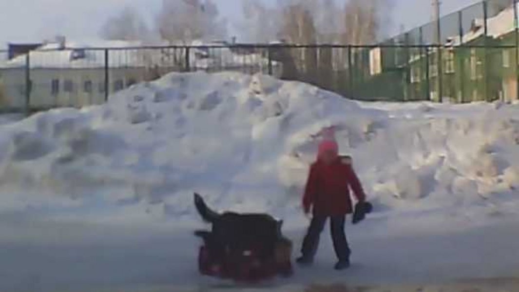 Собаки загрызли 7 девочку. Собака напала на ребенка в Новосибирске. Бродячие собаки напали на ребенка.