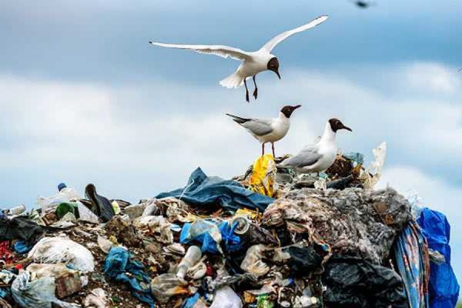 Фото: FOTOLIA