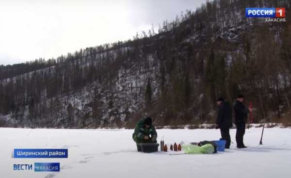 Фото: вести-хакасия.рф 