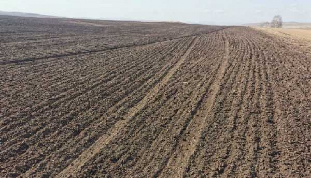 Фото: сайт R-19