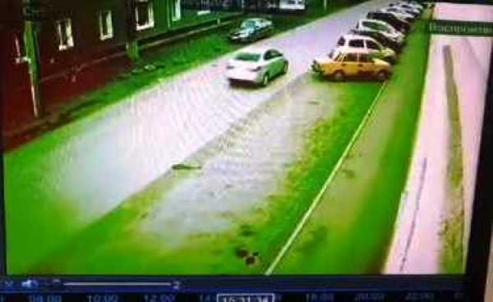 Фото и видео: УГИБДД РХ