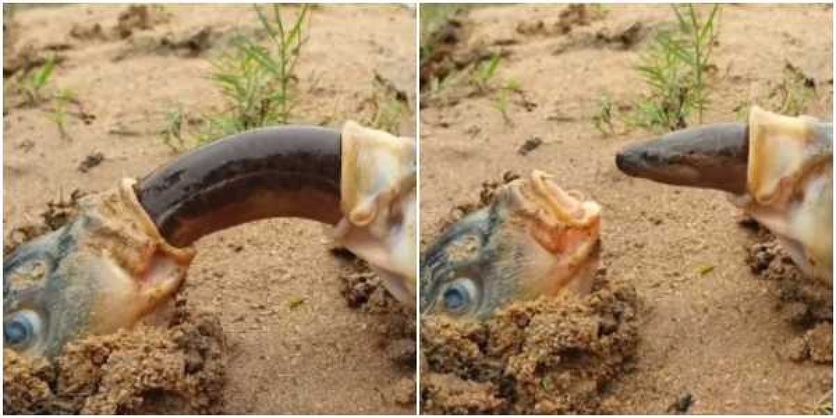 Фото: Вконтакте