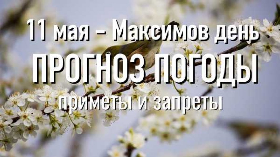 Максимов день 11 мая картинки