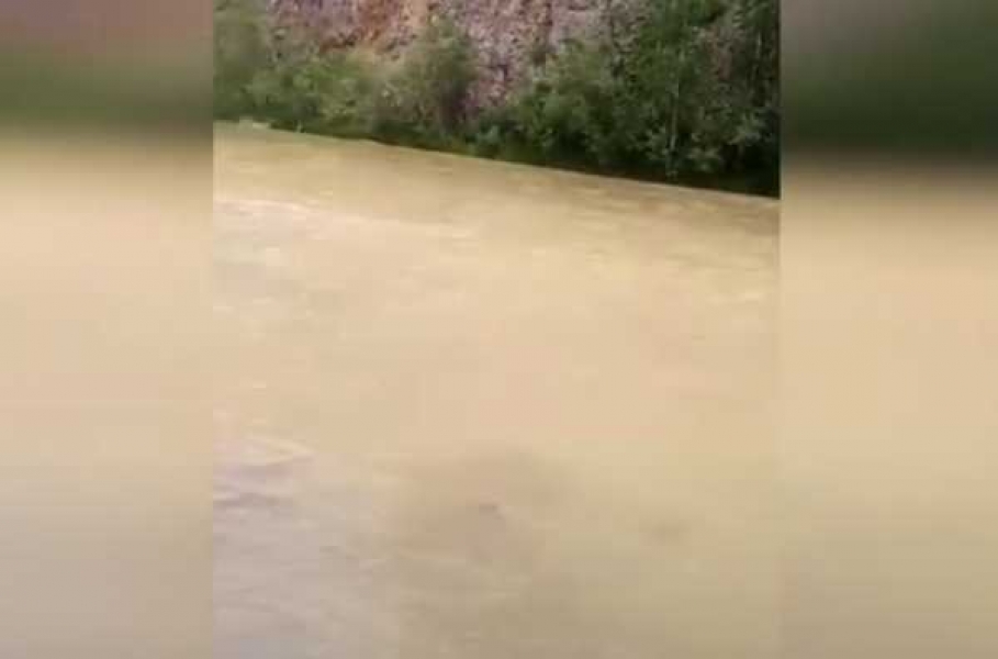 Фото: вести-хакасия.рф 