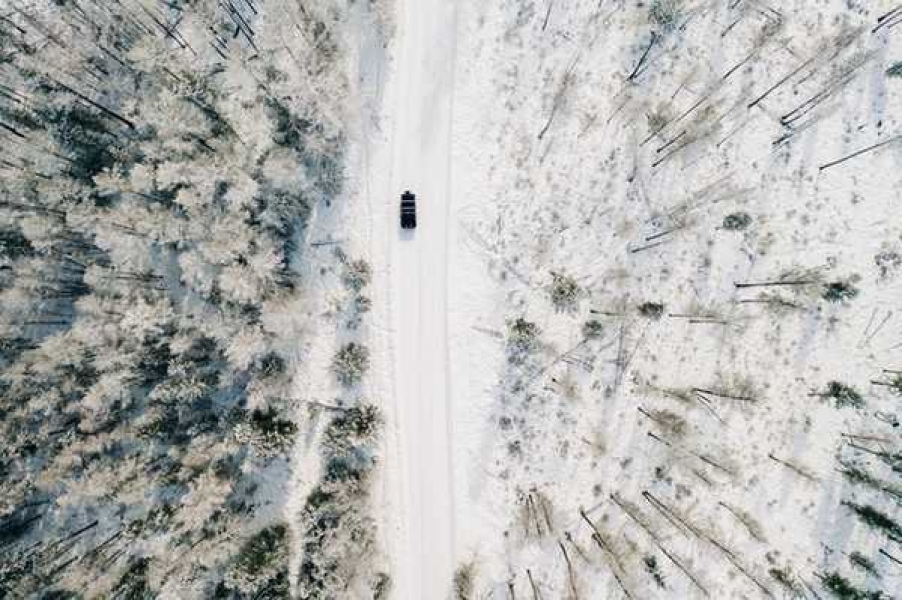 Фото с сайта: pexels.com  