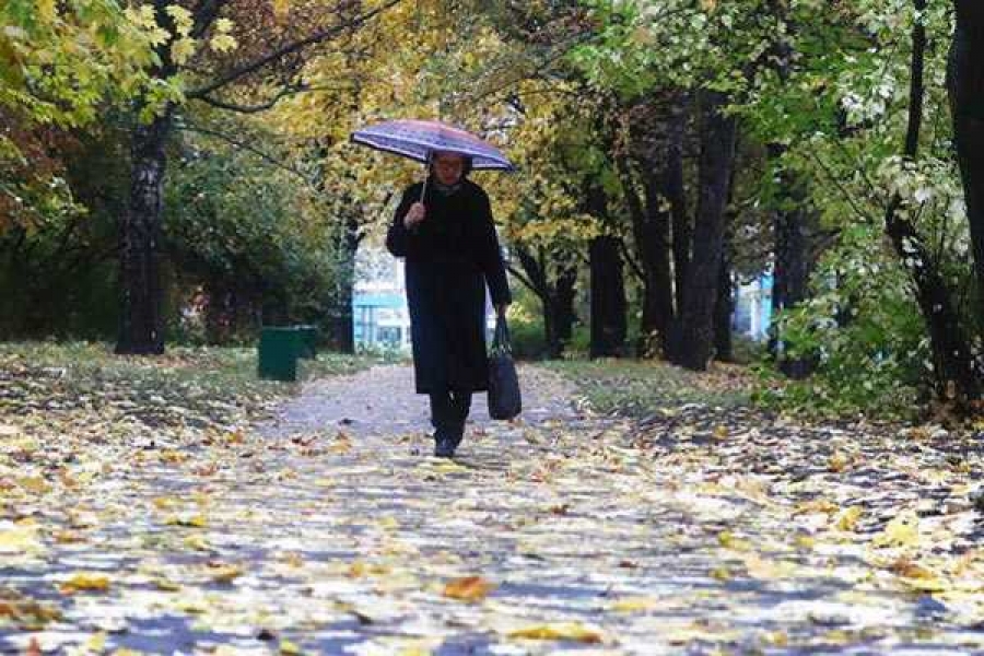 Фото: Сергей Фадеичев/ТАСС