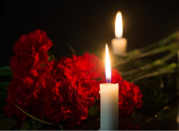 Фото: с сайта Pixabay 