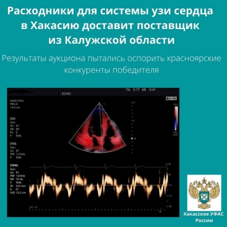 Изображение: Хакасское УФАС России