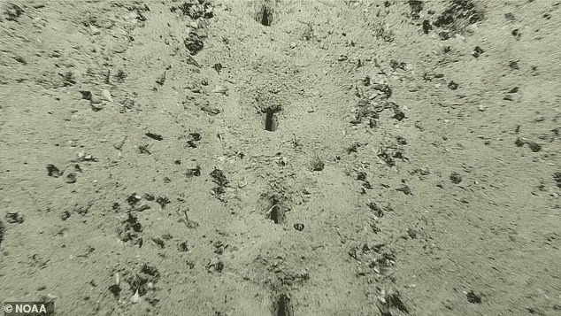 Фото: NOAA