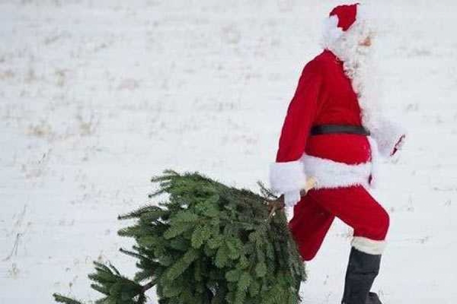 Фото из открытых источников