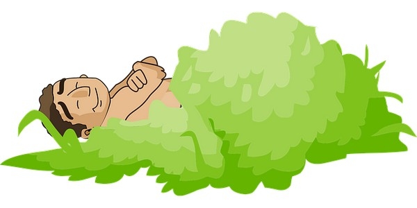 Фото из архива pixabay.com/ru