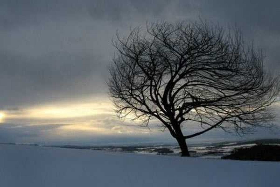 Фото yandex.ru