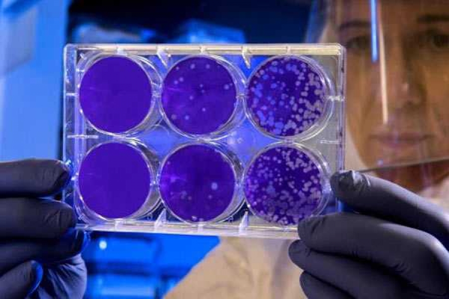 Фото: unsplash.com