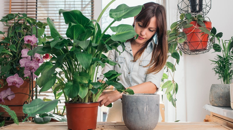 Shutterstock/Fotodom