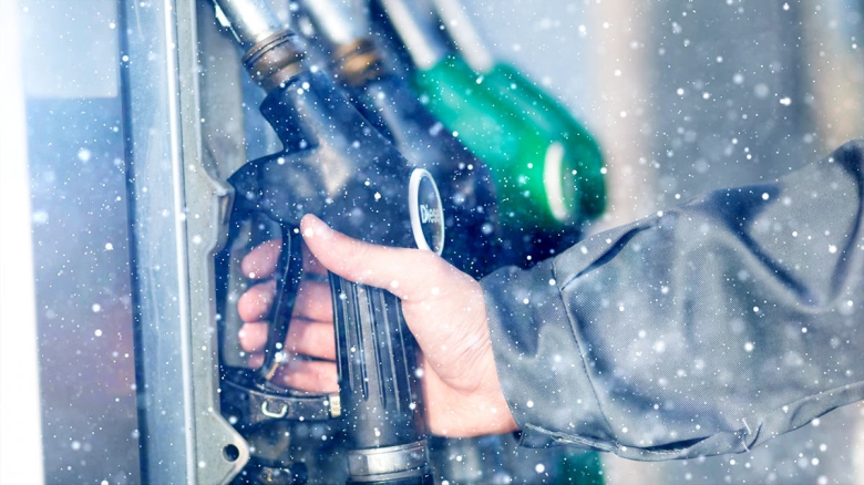 Коллаж / Shutterstock/Fotodom