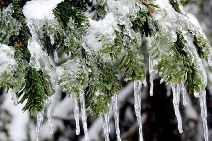 Фото: gazeta-don.ru