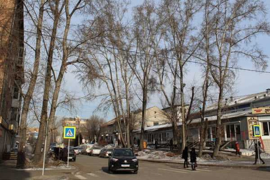 Фото: информотдел Администрации Абакана