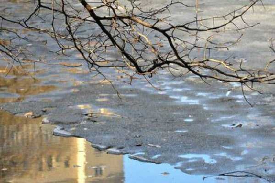 Фото с сайта vg-news.ru