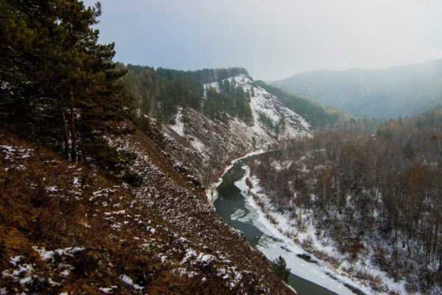 Фото: https://stolitca24.ru/