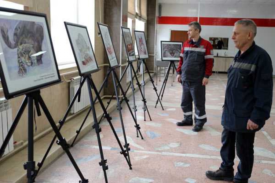 Фото: пресс-служба САЗа