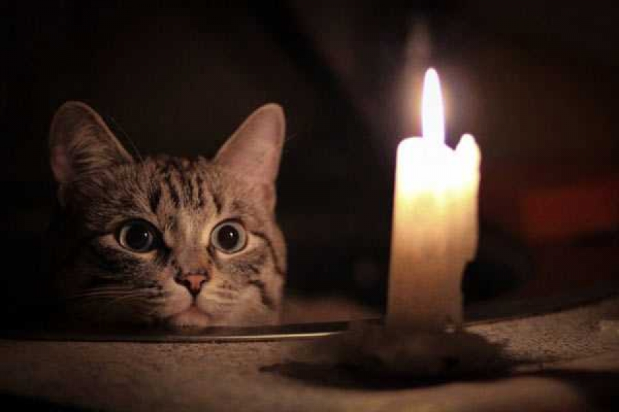 Фото с сайта https://vesti-k.ru/